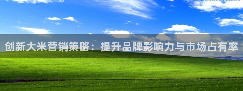 必赢网址手机主页在哪