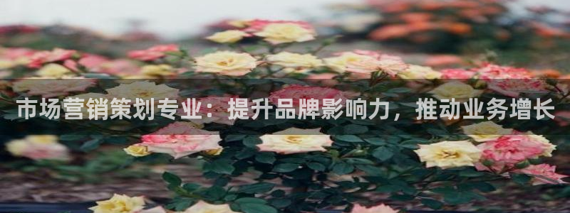 必赢亚赢网站官网下载安卓版
