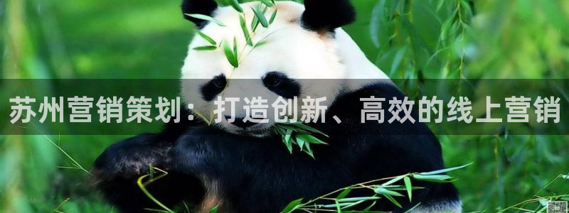 必赢官网网址多少号
