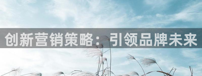 必赢平台官方网址
