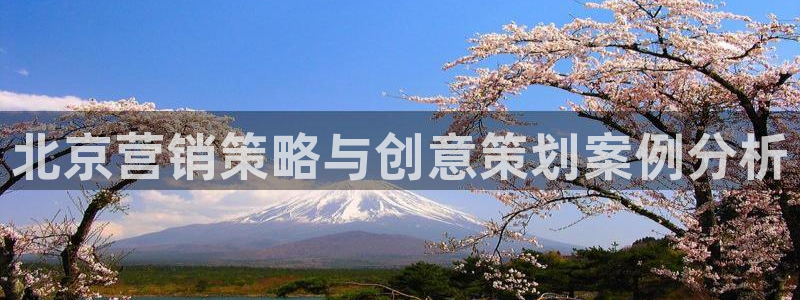 必赢国际的网站多少