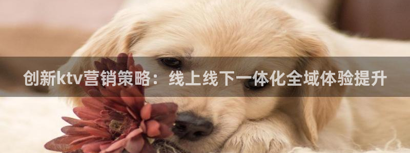 776net必赢官网