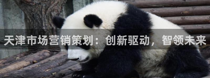 必赢平台怎么样知乎