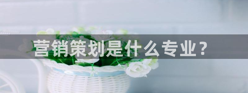 必赢国际437a