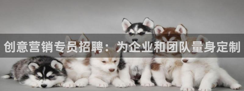 9965必赢游戏app大全