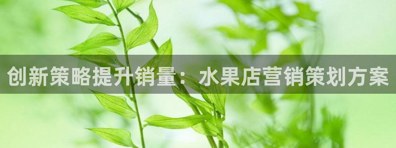 必赢棋盘app下载