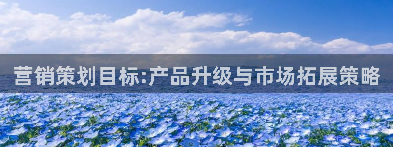 必赢图片