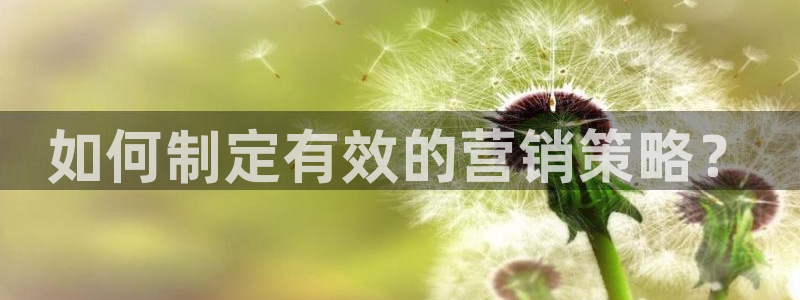 9965必赢游戏app大全