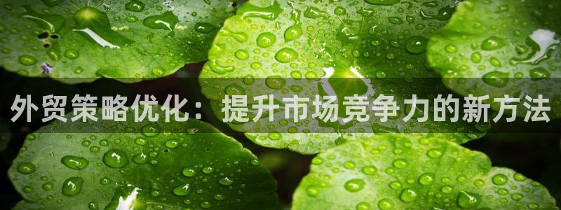 必赢国际游戏技巧
