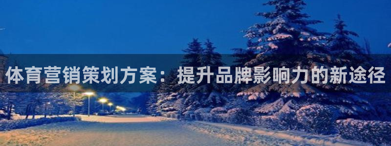 必赢平台怎么样
