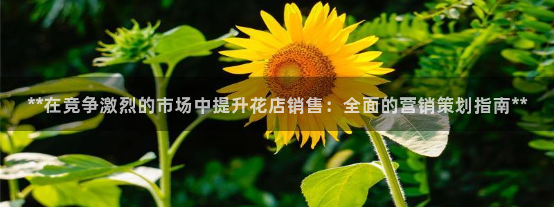 必赢棋盘app下载