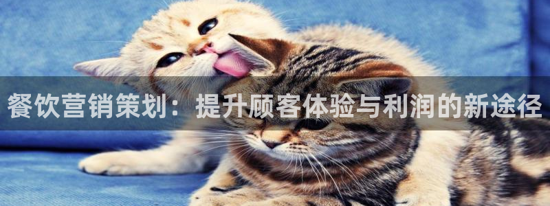 必赢国际儋州社区