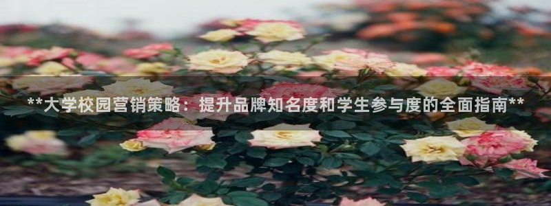 必赢必赢