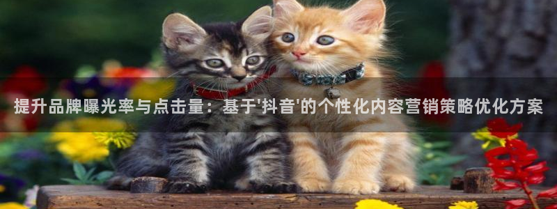 必赢3003平台
