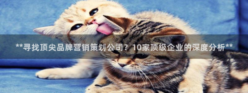 必赢国际437怎么样
