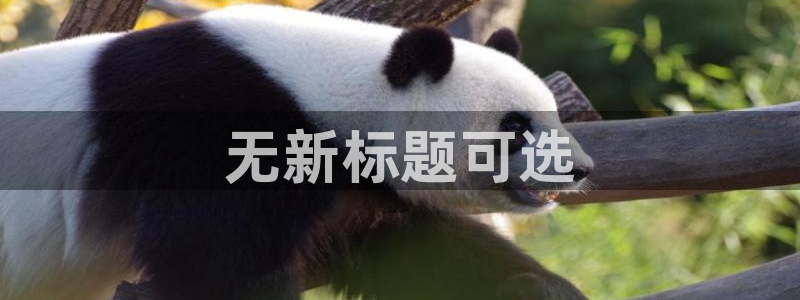 必赢网址手机主页打不开