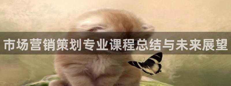 必赢亚赢网站官网下载
