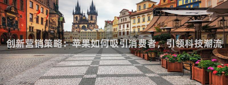 必赢手机app下载抢红包