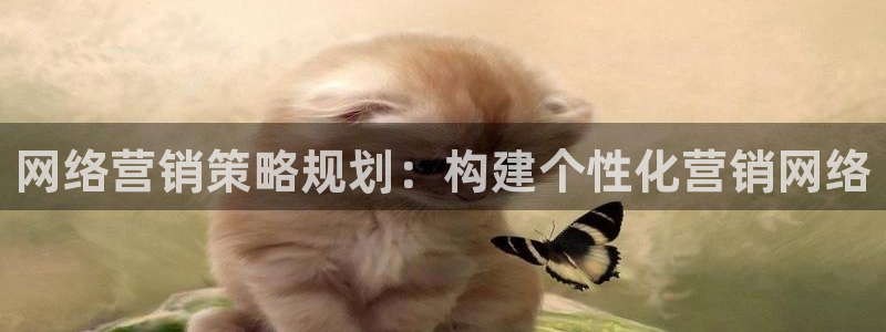 必赢客软件
