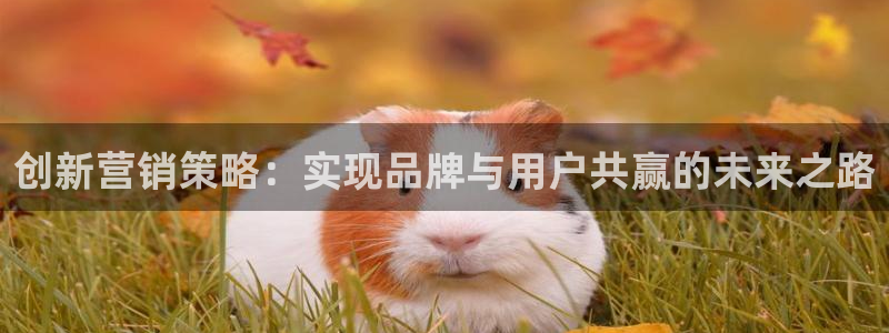 必赢国际437怎么样