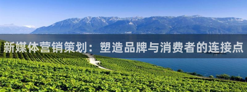 必赢官网下载安装