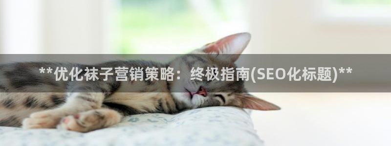 必赢亚赢网站官网下载安装