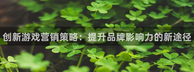 必赢官网网站入口网址