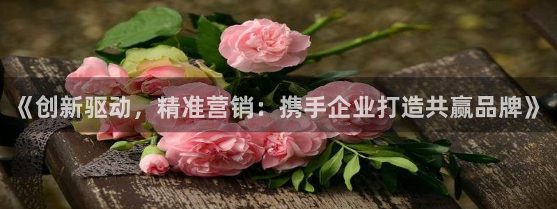 必赢这个平台怎么样啊