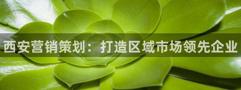 必赢集团