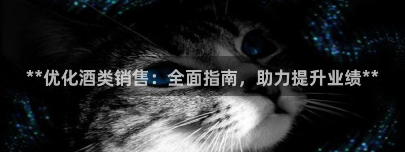 必赢国际的网站多少