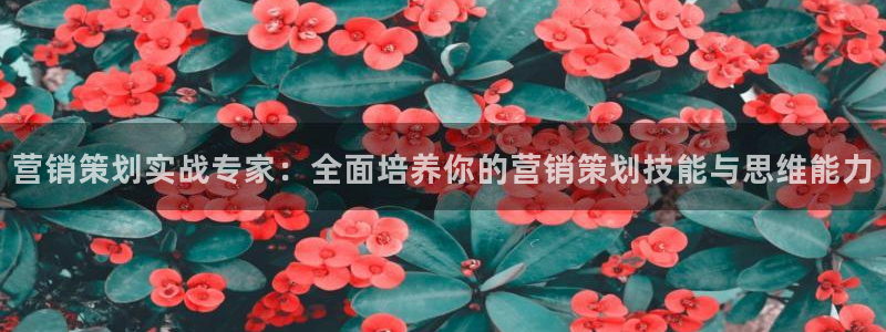 必赢手机app下载 最新版