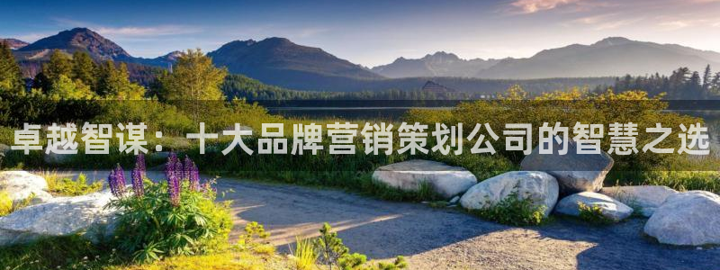 必赢国际437