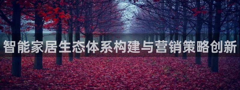 必赢客软件