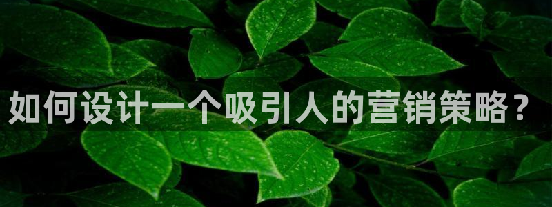 必赢网络游戏平台