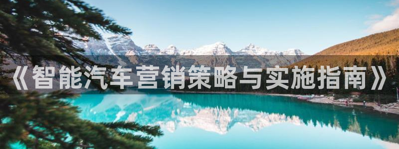 必赢官网app下载苹果版