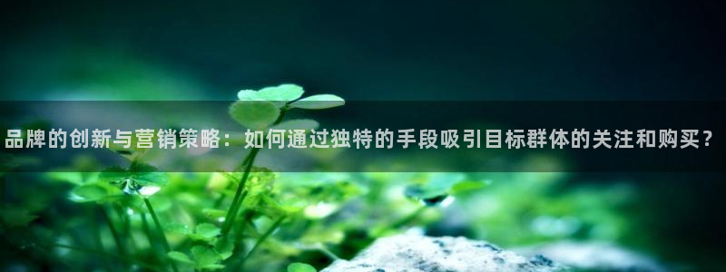 必赢国际技巧