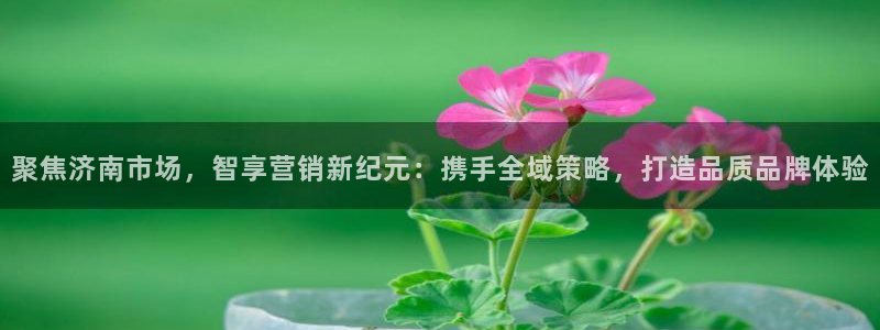 必赢国际a600典cc注册