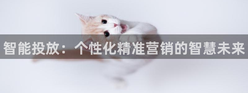 必赢官网app下载安装手机版最新版