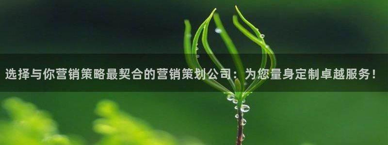 必赢官网app下载苹果