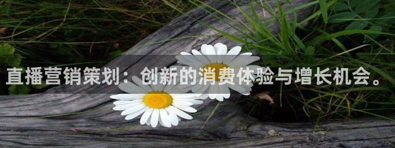 必赢活动安卓下载app