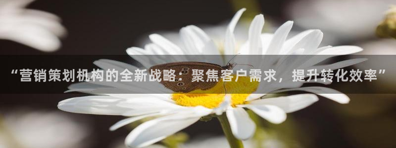必赢网怎么打不开了呀