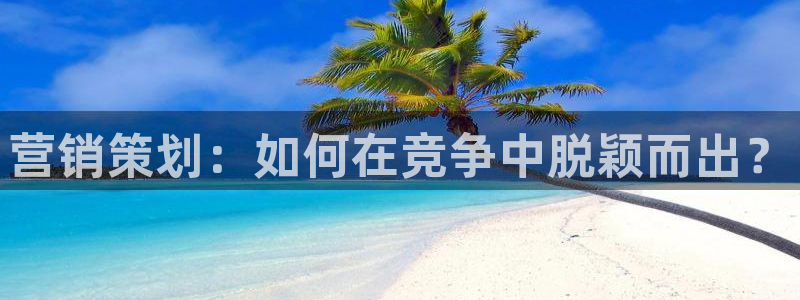 必赢官网网址多少