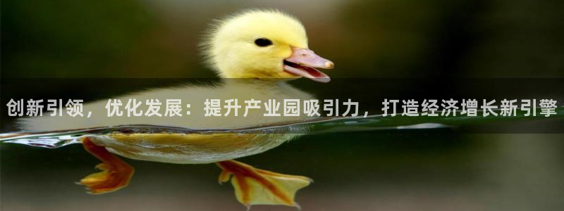 必赢亚赢网站官网下载手机版