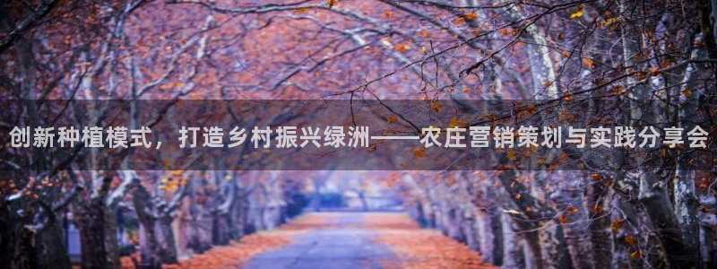 必赢国际437怎么样