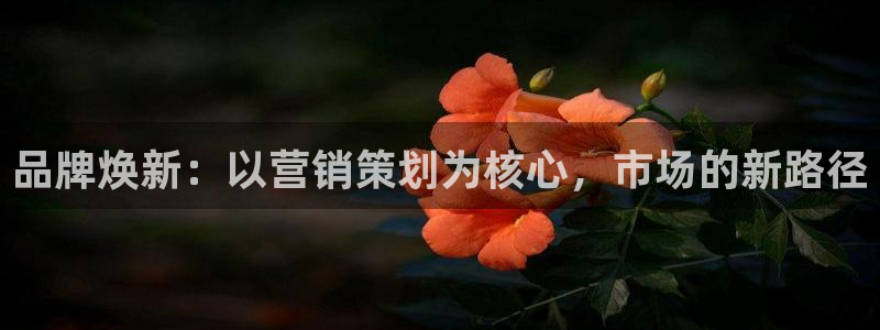 必赢公司是怎样的一家企业