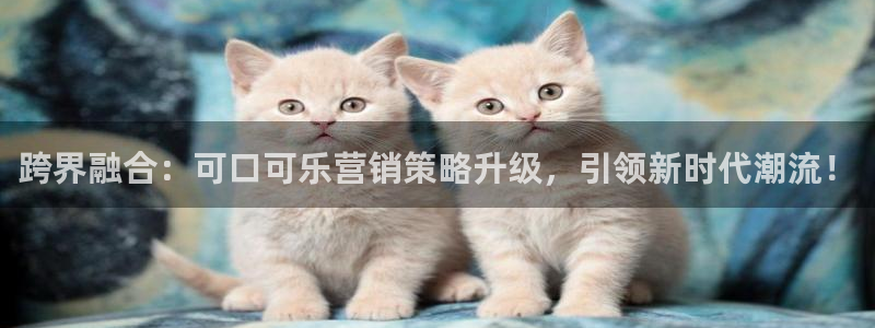 必赢72886后面字母是多少：