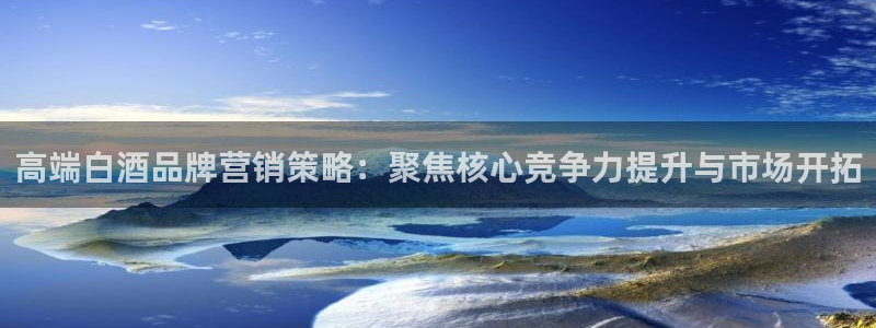 9965必赢游戏特色：高端白酒