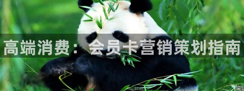 必赢官网网站：高端消费：会员卡