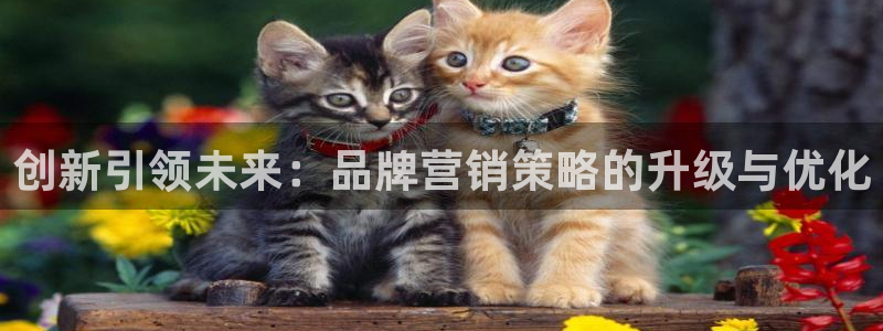 必赢官网网址多少号登录的