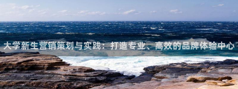 必赢官网网址多少号登录入口